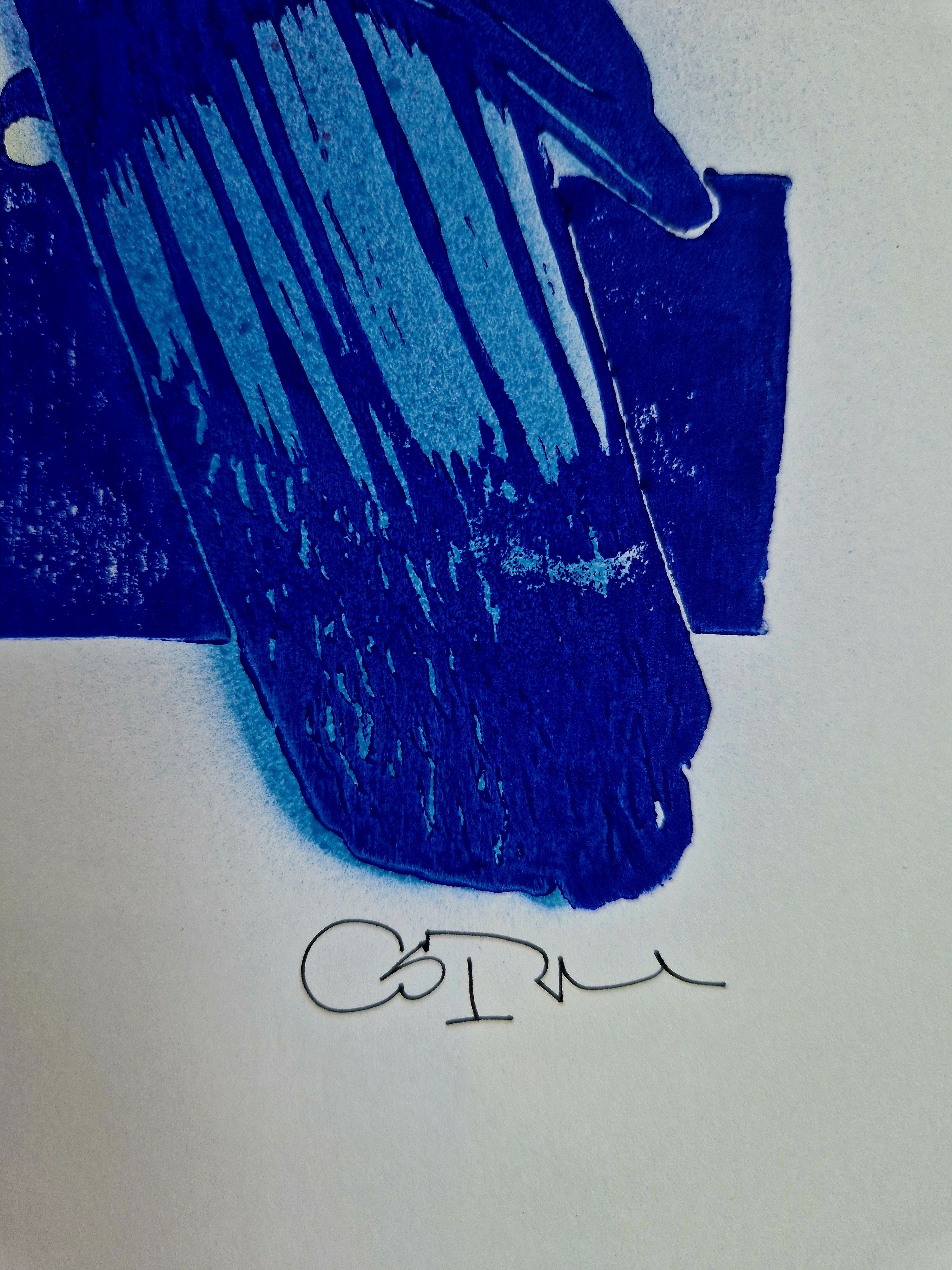 Editions d'art de OSRU a pour titre SKATE/3 PIES PAPOTENT BLEU ET VIOLET style figuratif dim : OSRUprix:70