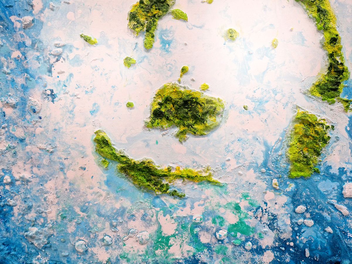 Tableau de Philippe Boliviera a pour titre terairoa style abstrait dim : Philippe Bolivieraprix:550