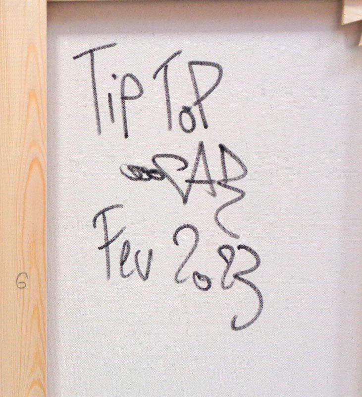 Tableau de RICO SAB a pour titre Tip Top style street pop art, street art dim : RICO SABprix:320