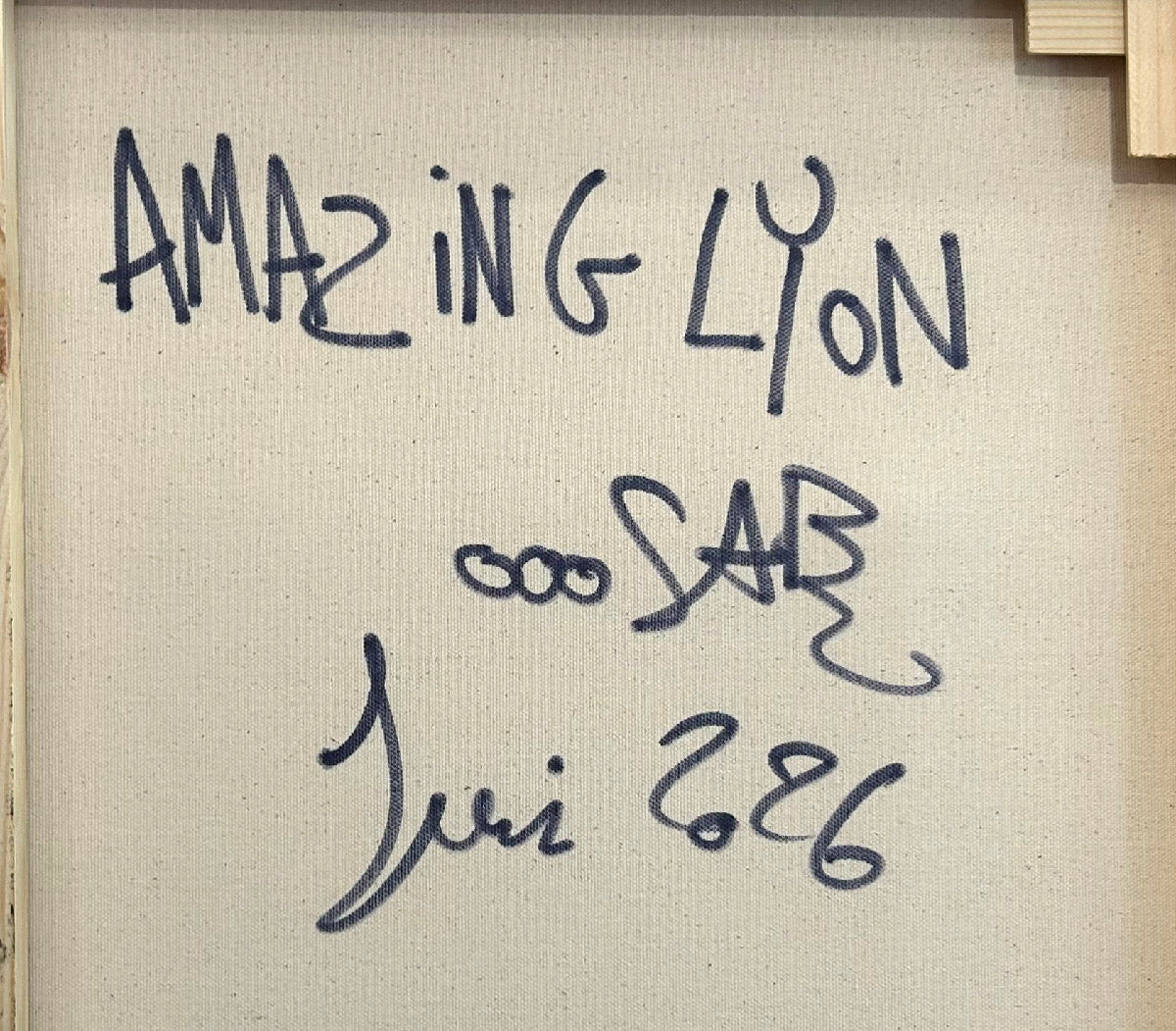 Amazing Lyon
