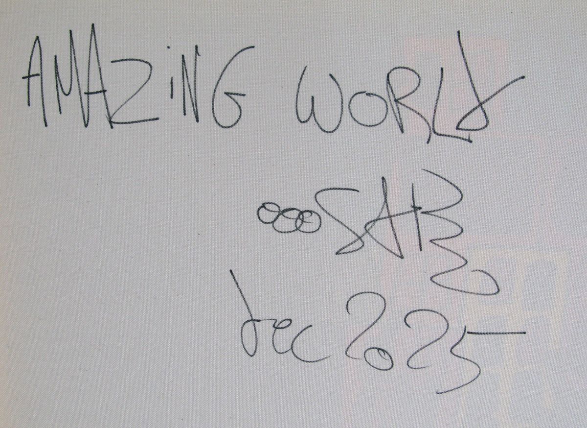 Tableau de RICO SAB a pour titre Amazing World style street pop art, street art dim : RICO SABprix:1350