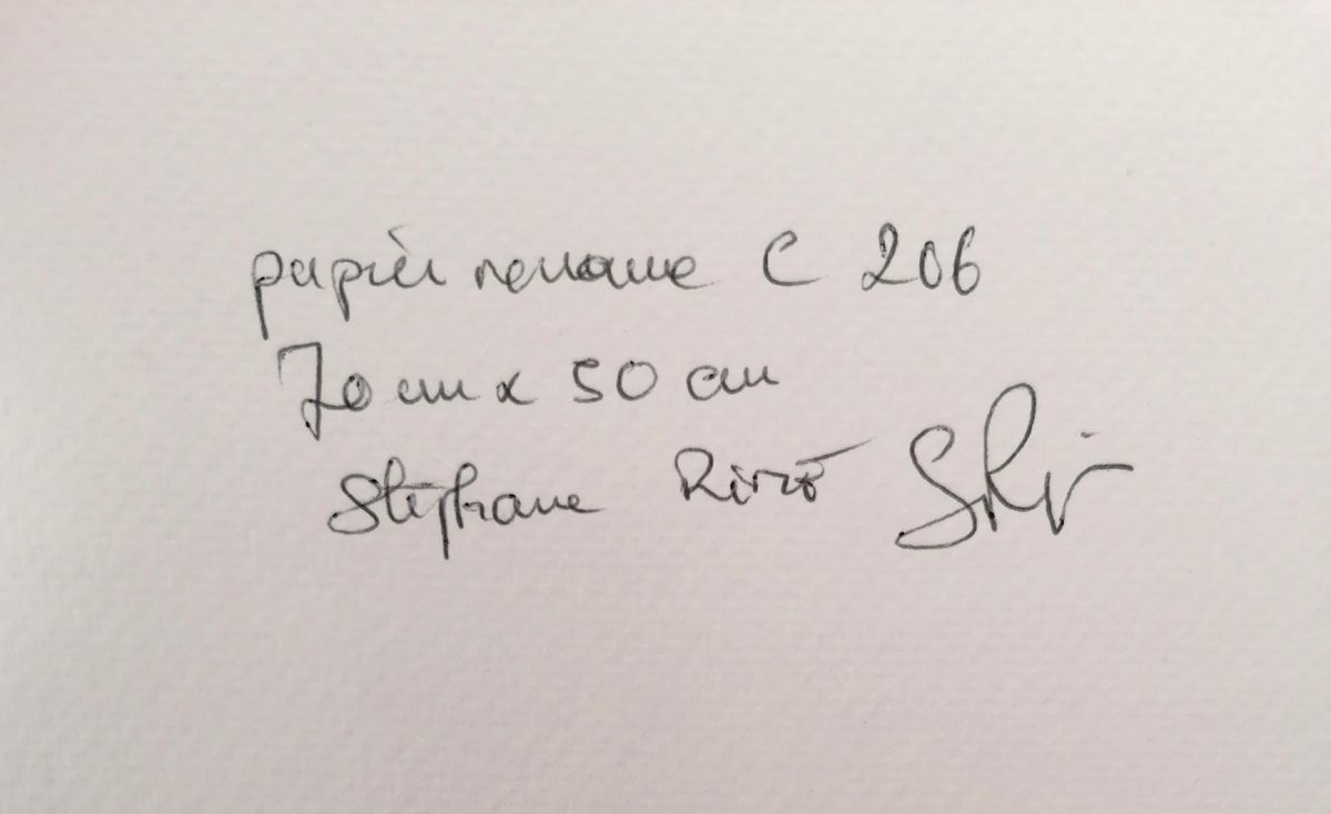 Dessin de STEPHANE RIME a pour titre Noname C206 style abstrait dim : STEPHANE RIMEprix:140