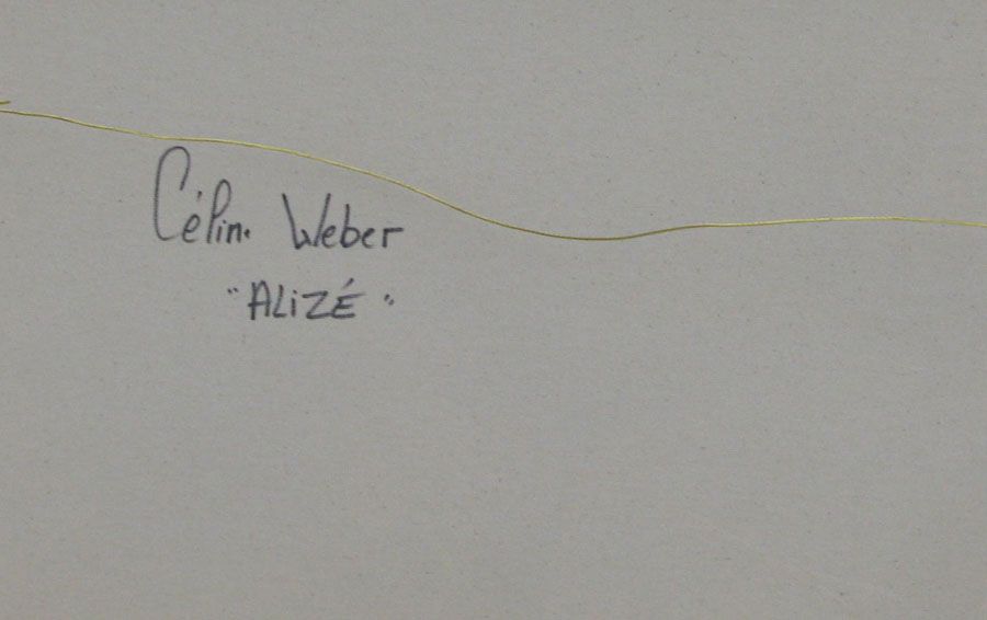 Tableau de CELINE WEBER a pour titre ALIZEE style abstrait dim : CELINE WEBERprix:1100