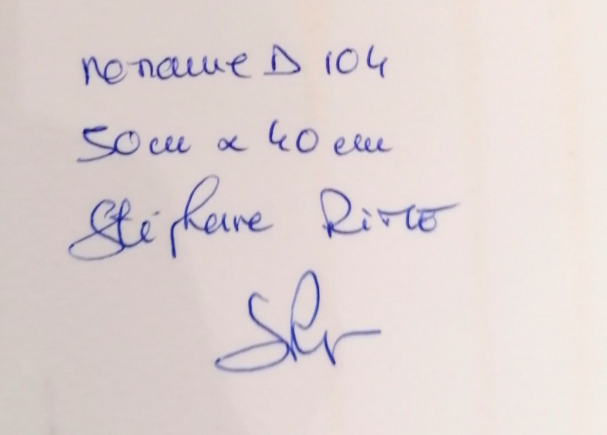 Dessin de STEPHANE RIME a pour titre Noname D104 style abstrait dim : STEPHANE RIMEprix:100