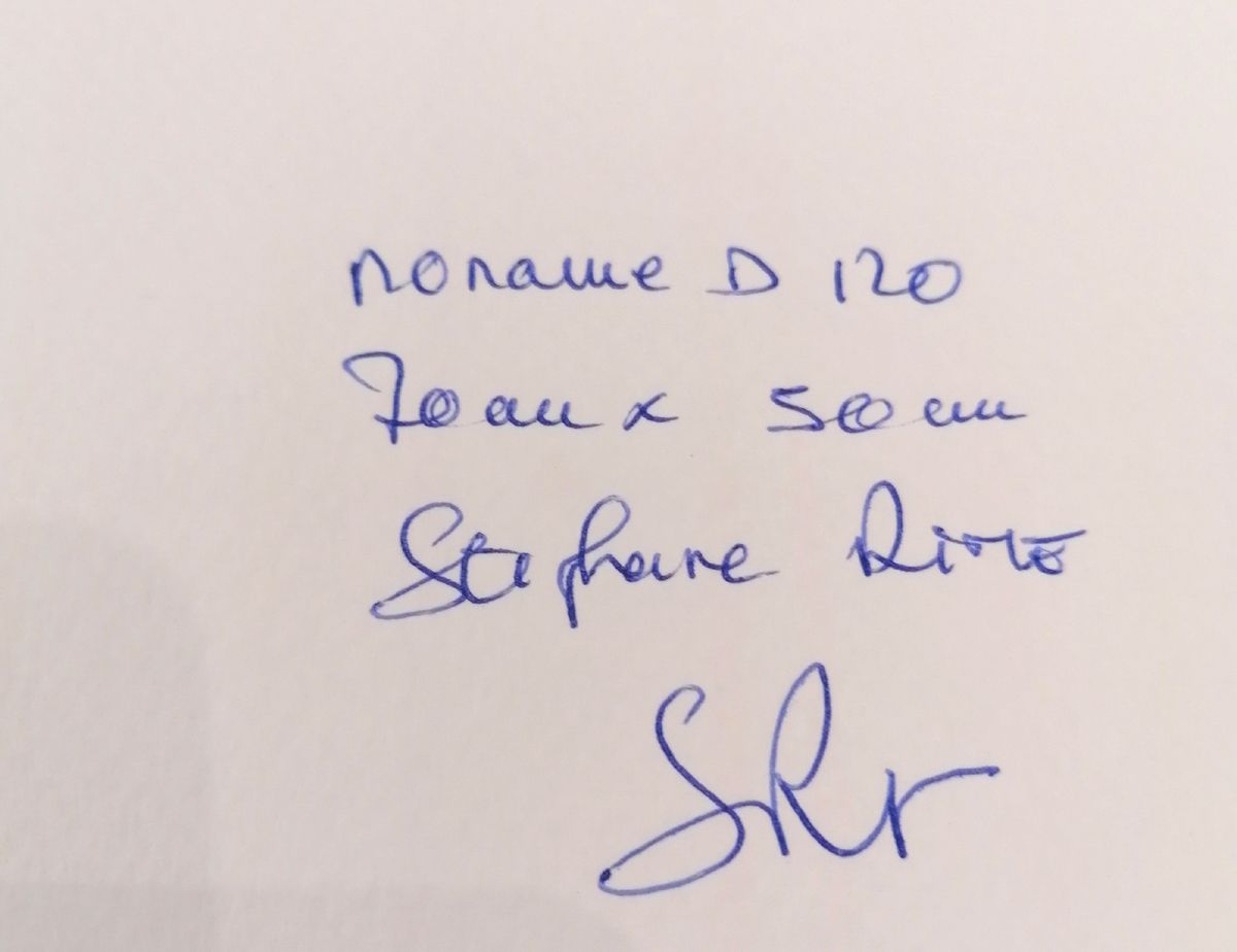 Dessin de STEPHANE RIME a pour titre Noname D120 style abstrait dim : STEPHANE RIMEprix:140
