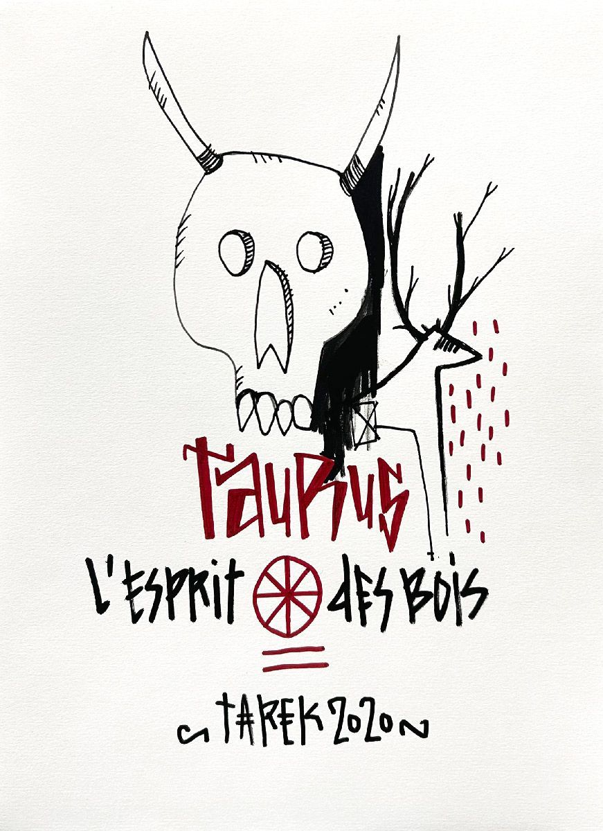 Dessin de TAREK a pour titre Taurus style street pop art dim : TAREKprix:130