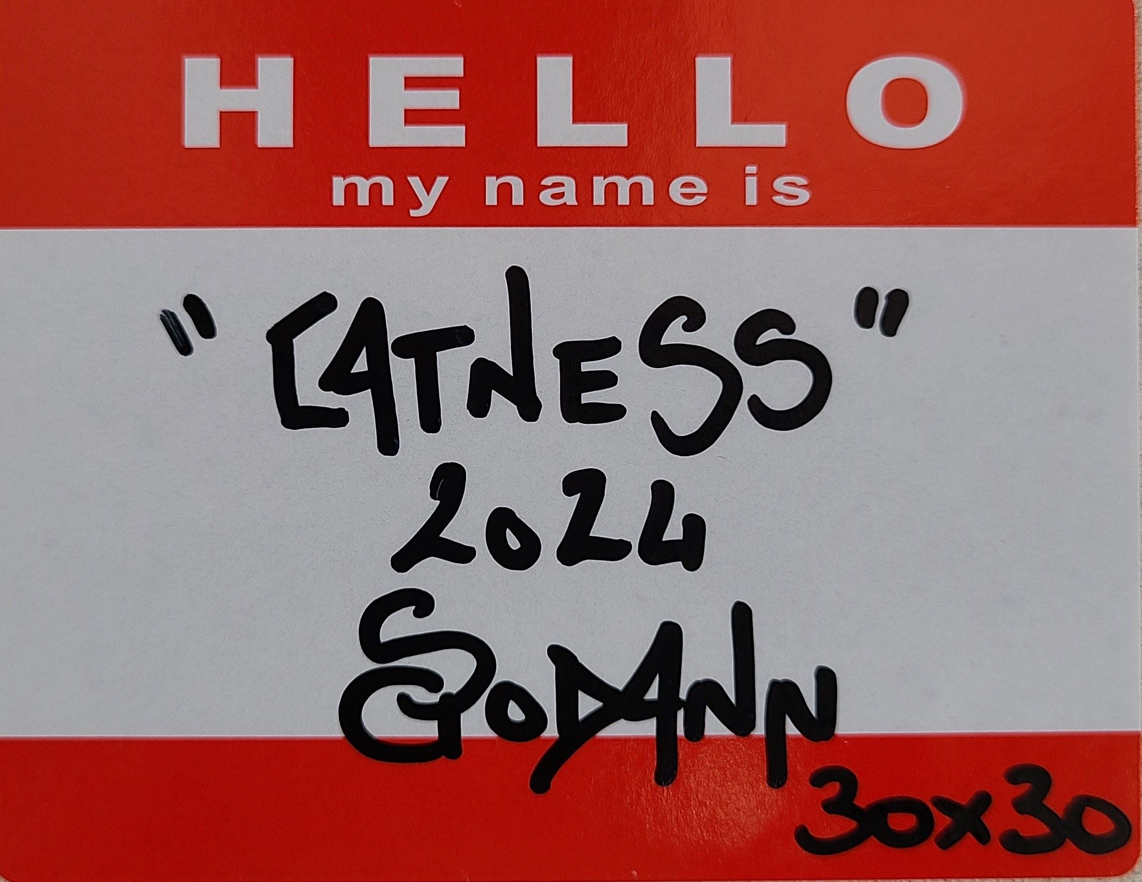 Tableau de Stephanie Godann a pour titre Catness style street art dim : Stephanie Godannprix:300