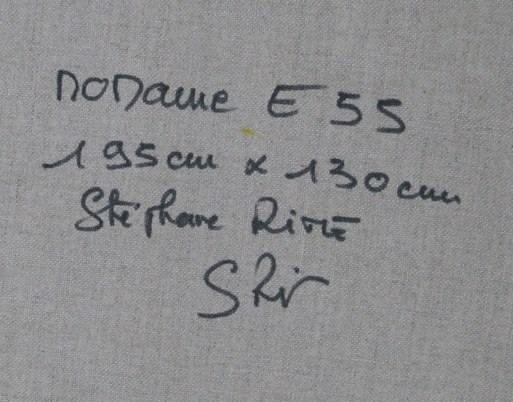 Tableau de STEPHANE RIME a pour titre No name E55 style abstrait dim : STEPHANE RIMEprix:2000