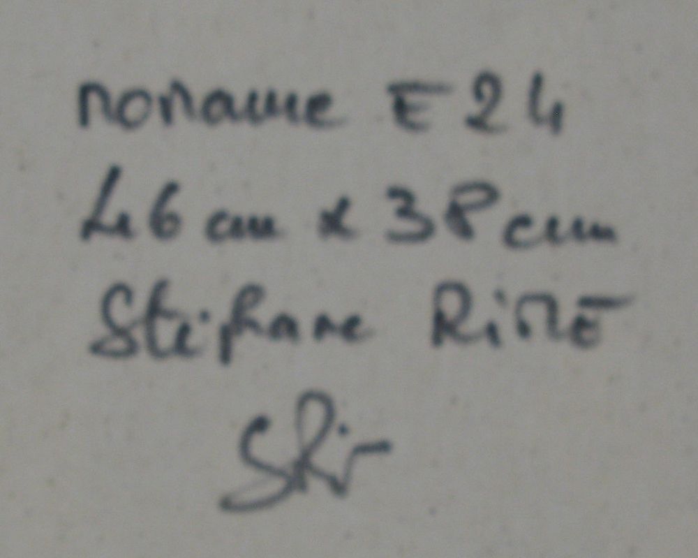 Tableau de STEPHANE RIME a pour titre Noname E24 style abstrait dim : STEPHANE RIMEprix:230