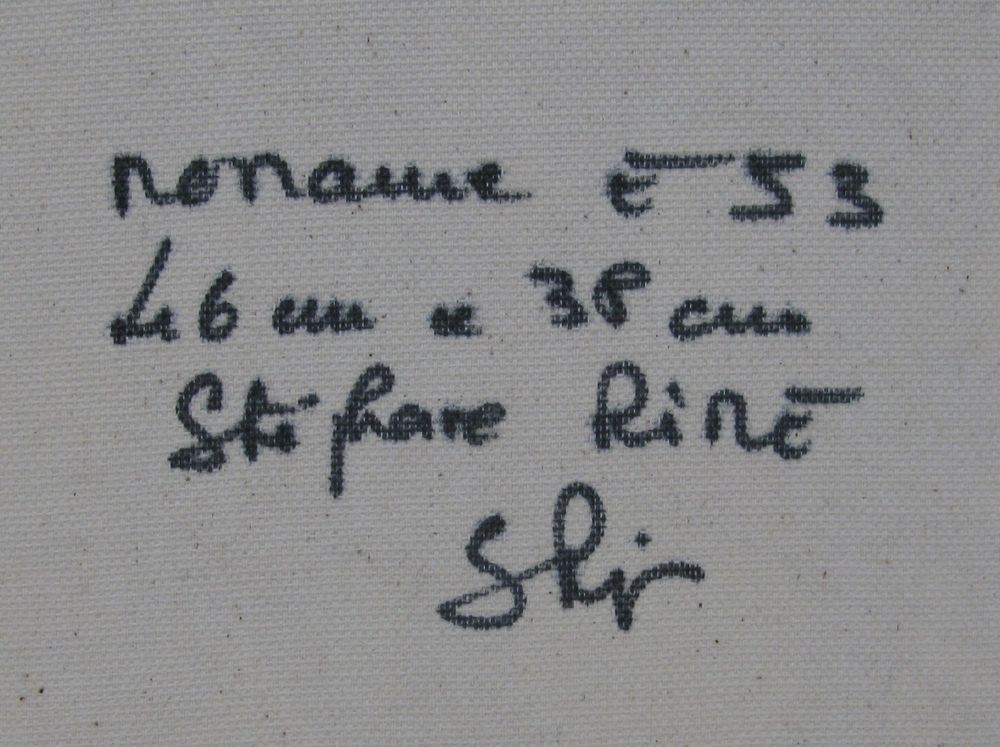 Tableau de STEPHANE RIME a pour titre Noname E53 style abstrait dim : STEPHANE RIMEprix:230