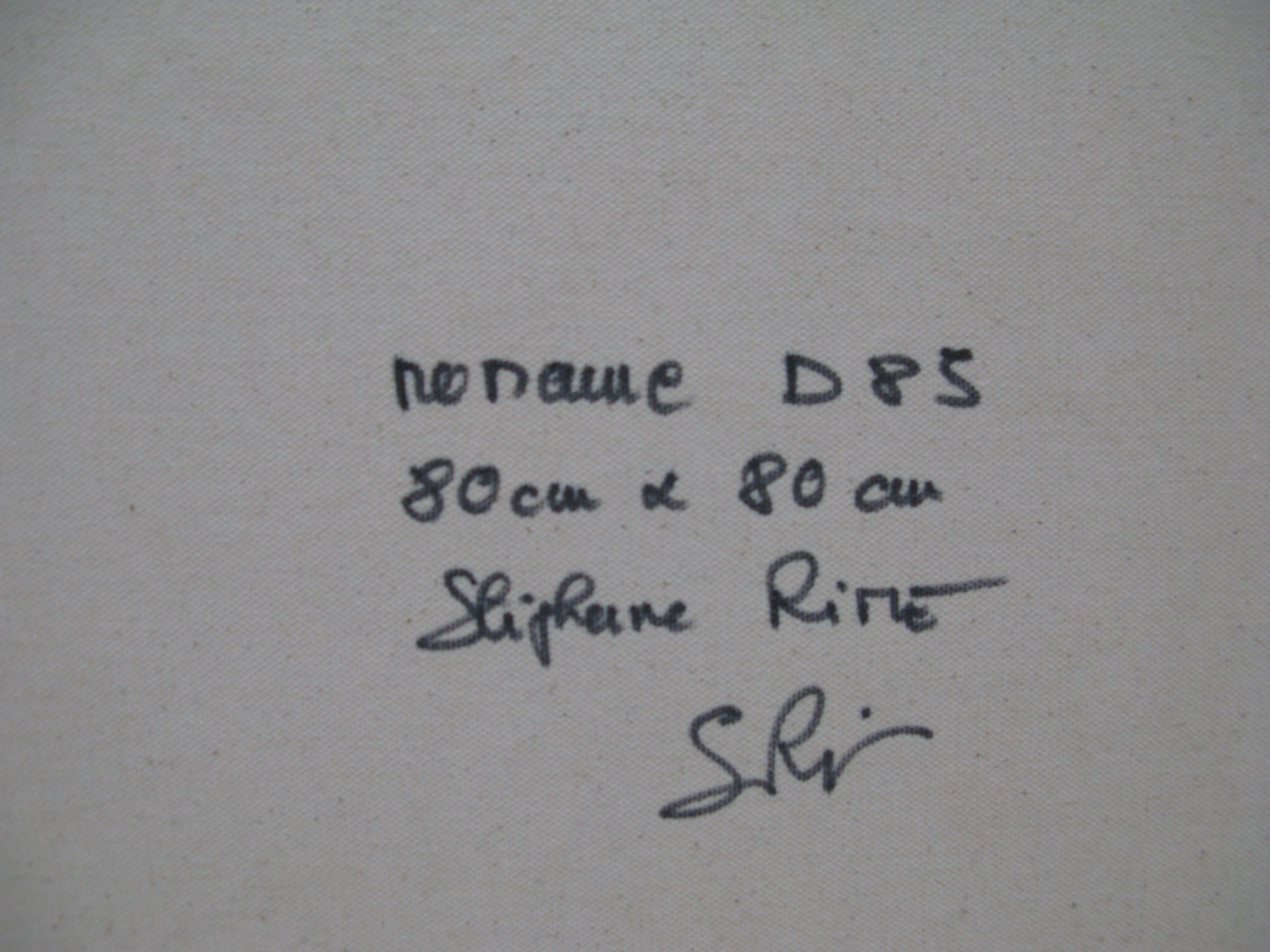 Tableau de STEPHANE RIME a pour titre NO NAME D85 style abstrait dim : STEPHANE RIMEprix:590