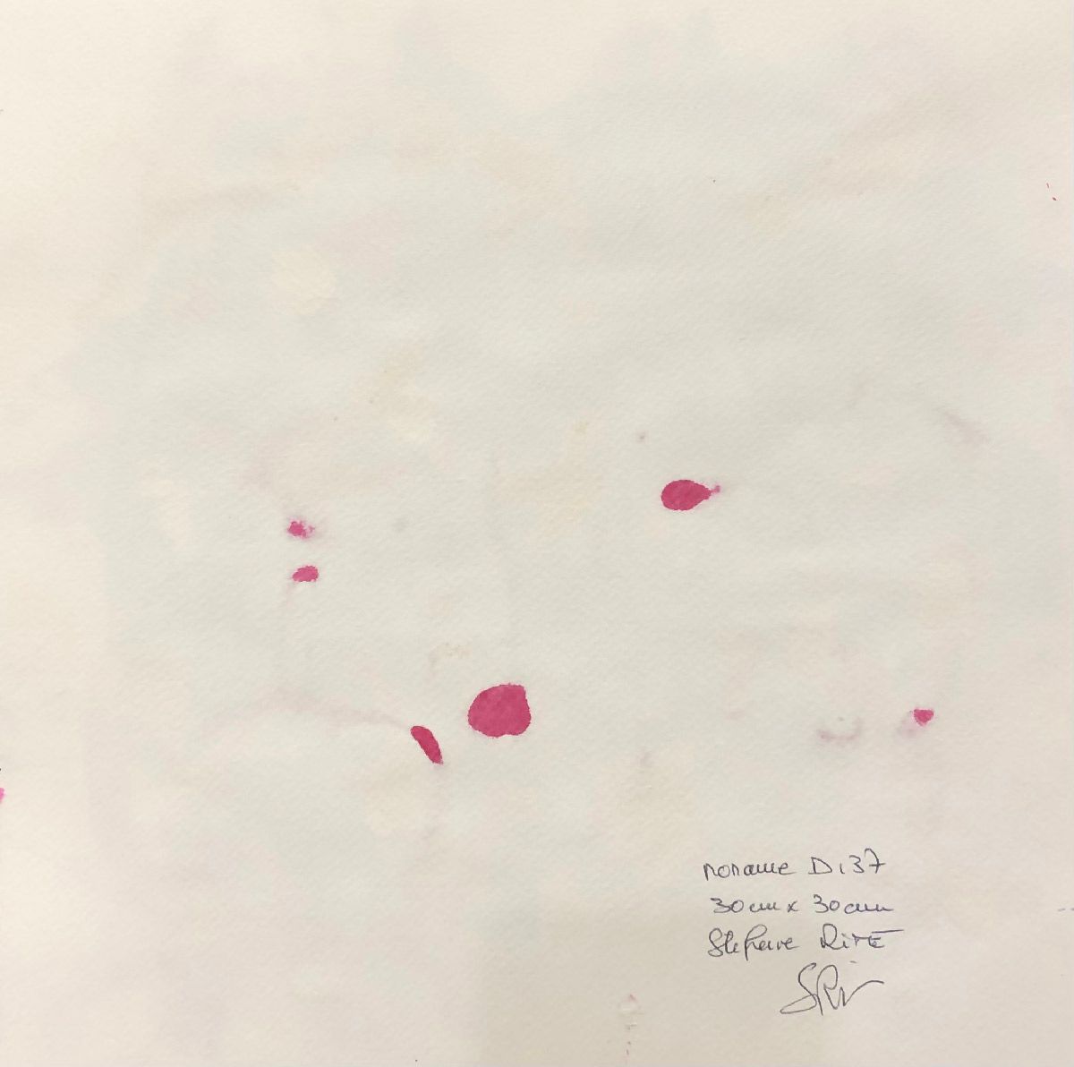 Dessin de STEPHANE RIME a pour titre noname D137 style abstrait dim : STEPHANE RIMEprix:60