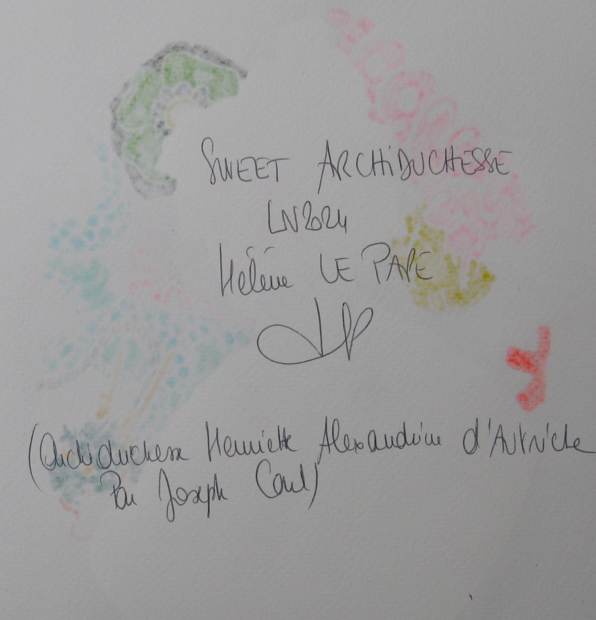 Dessin de LN LE PAPE a pour titre Sweet archiduchesse style street pop art dim : LN LE PAPEprix:80