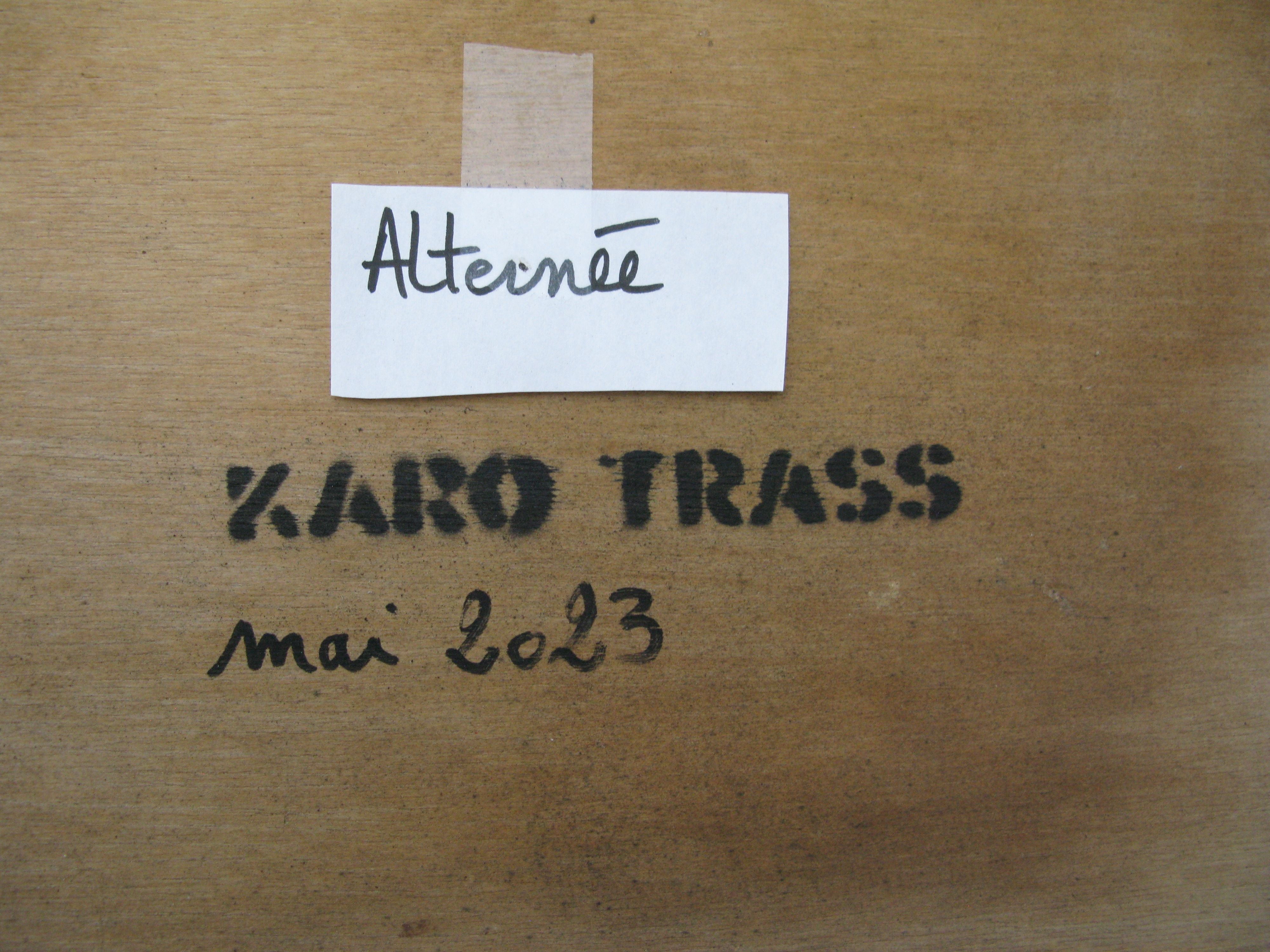 Tableau de KARO TRASS a pour titre Circulation alternée style street pop art, street art dim : KARO TRASSprix:350
