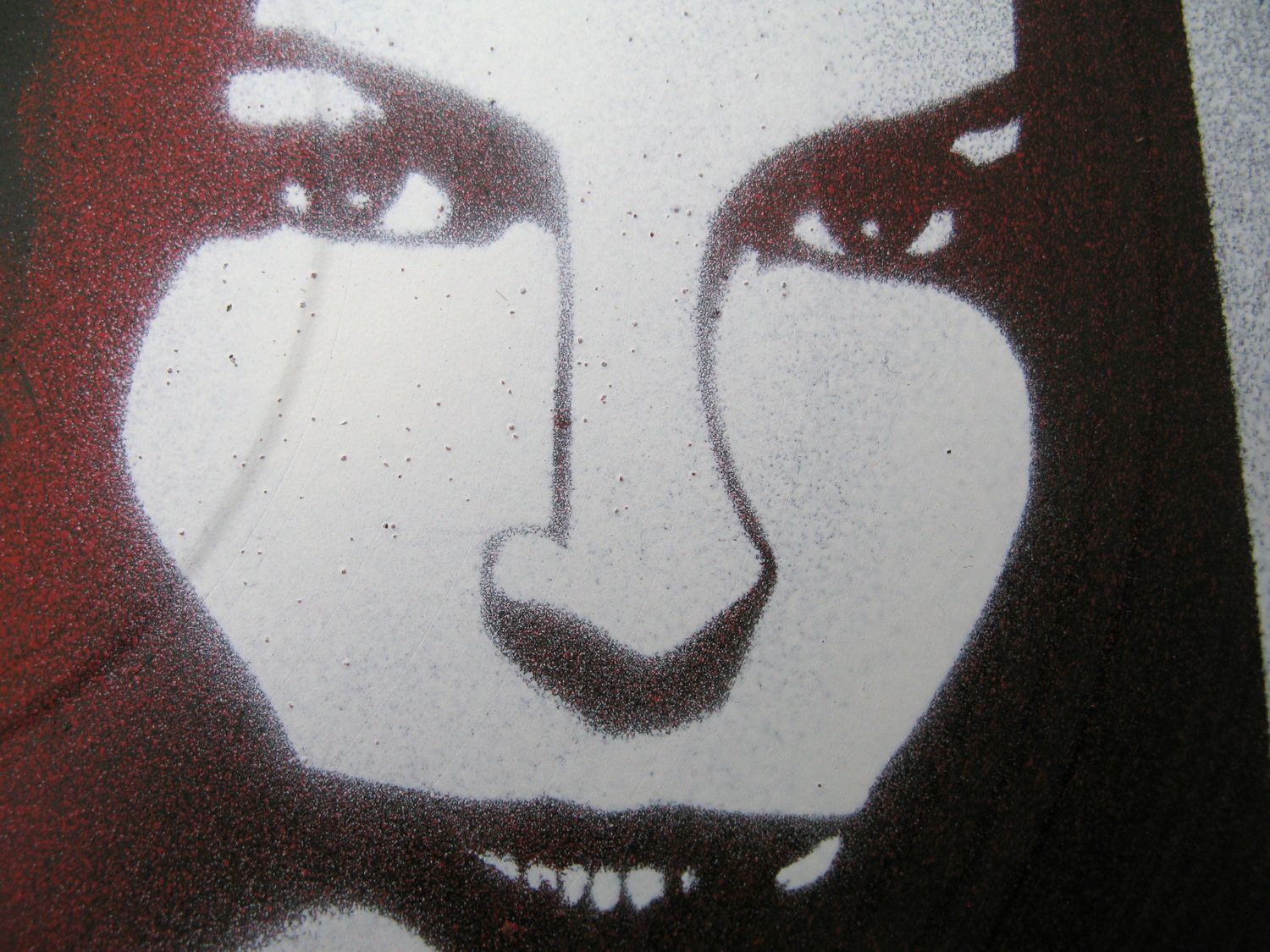 Tableau de KARO TRASS a pour titre Juliane style street pop art, street art dim : KARO TRASSprix:120