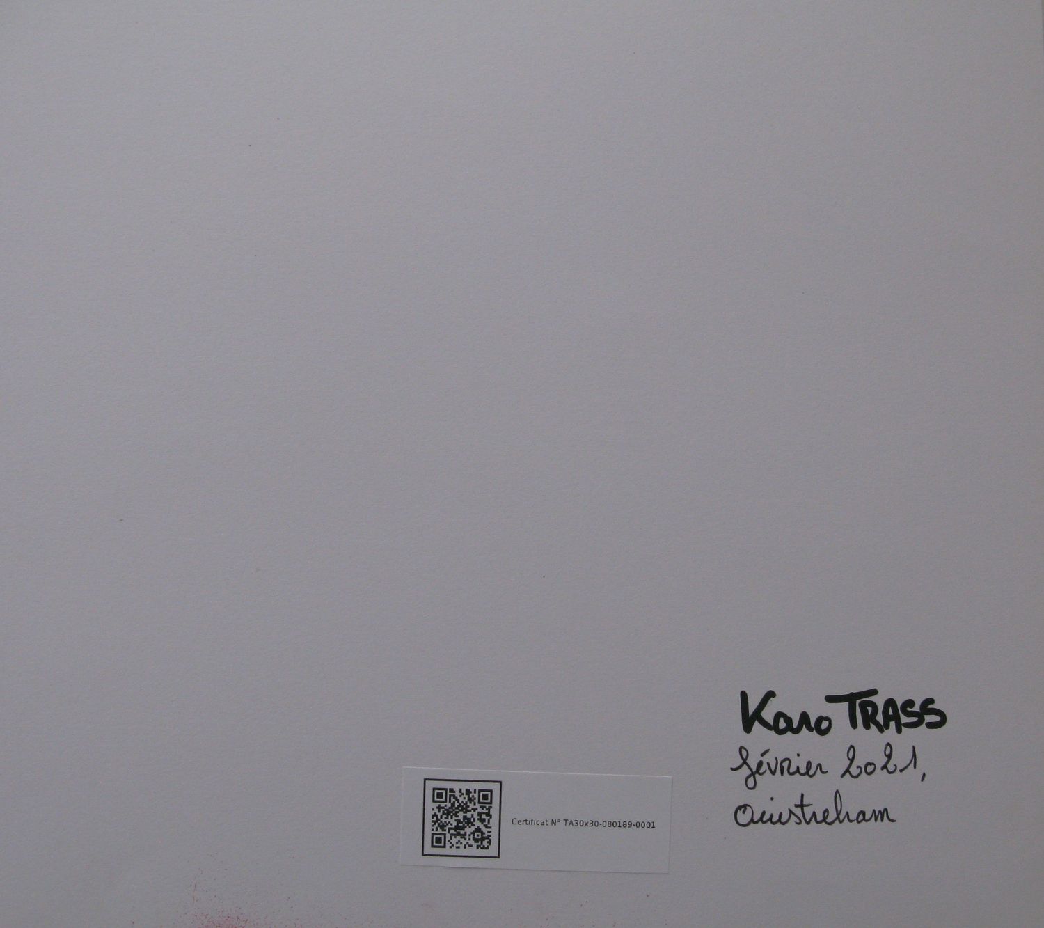 Tableau de KARO TRASS a pour titre Méduses style street pop art, street art dim : KARO TRASSprix:90