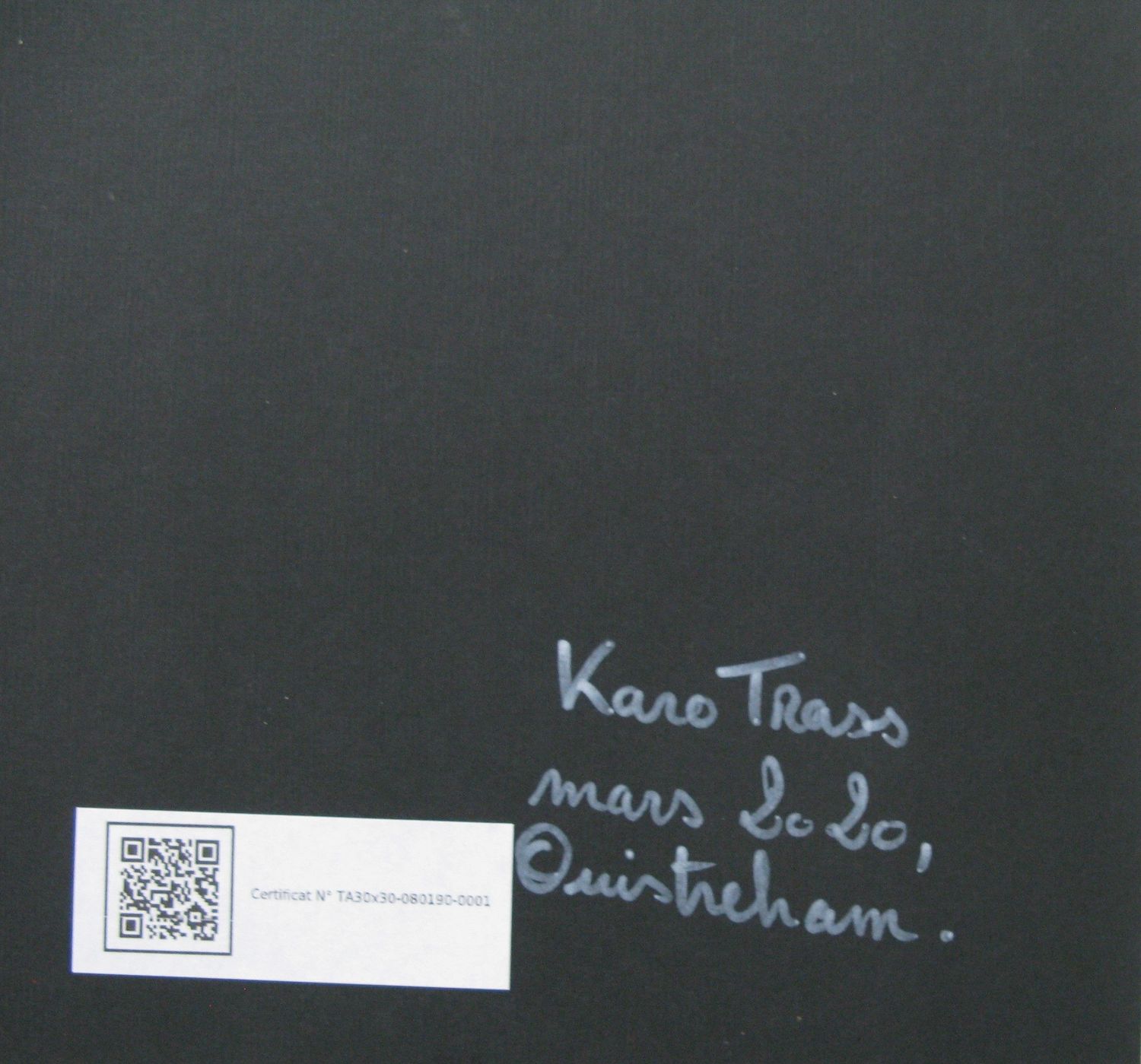 Tableau de KARO TRASS a pour titre Louison style street pop art, street art dim : KARO TRASSprix:90