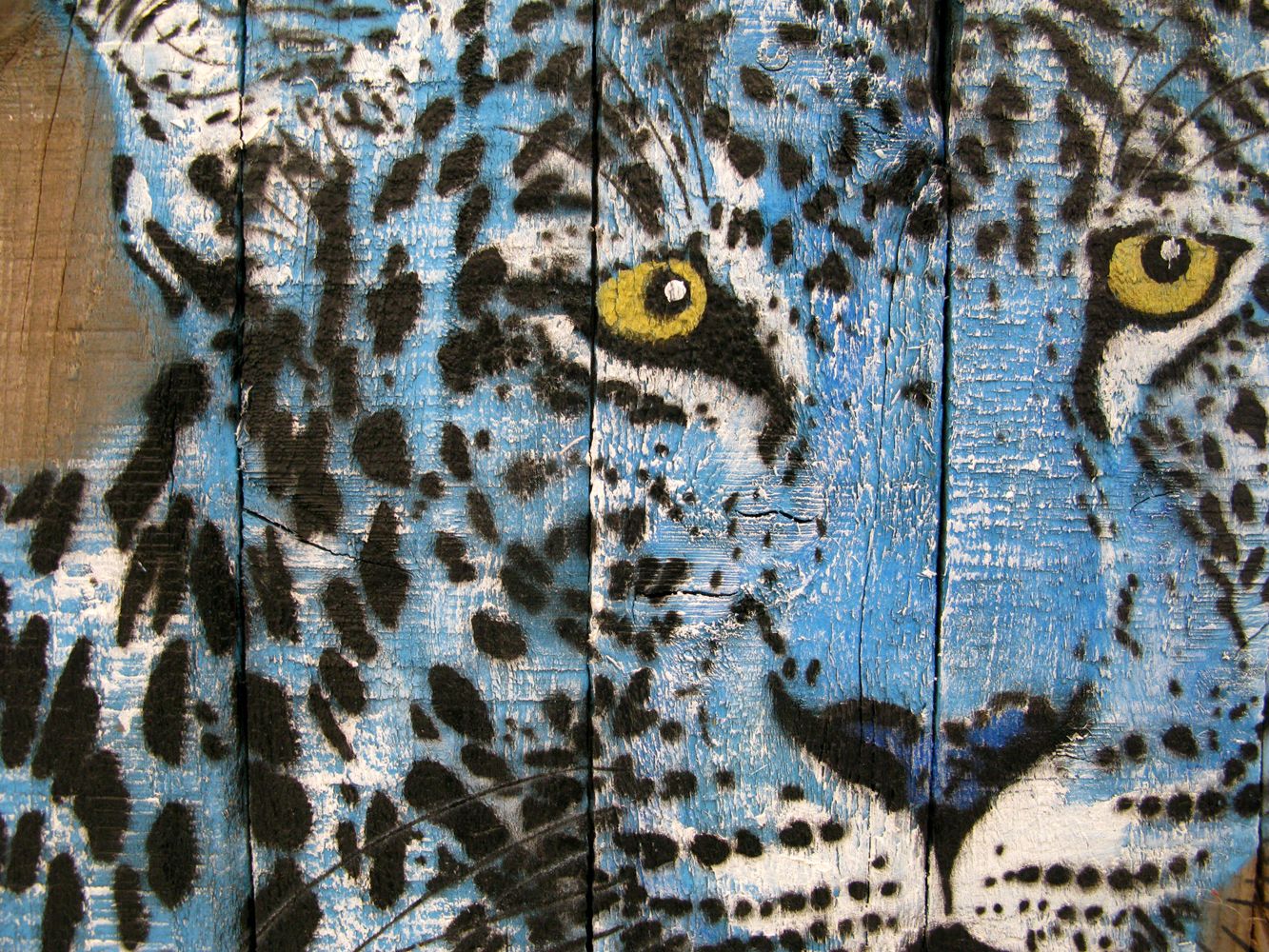 Tableau de MOSKO a pour titre LEOPARD BLEU style figuratif dim : MOSKOprix:900