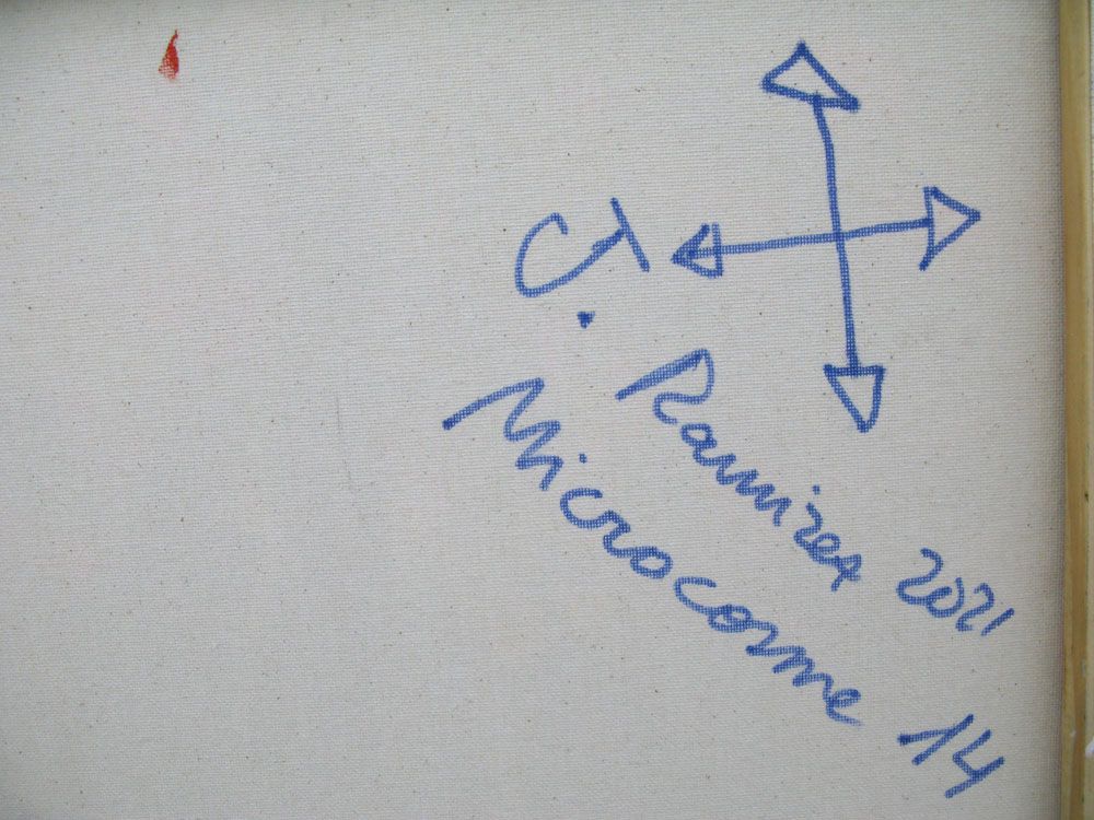 Tableau de JAVIER RAMIREZ a pour titre MICROCOSMES 14 style abstrait dim : JAVIER RAMIREZprix:
