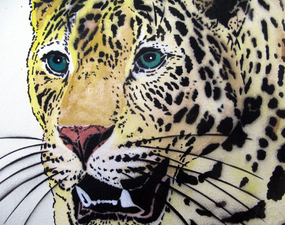 Dessin de MOSKO a pour titre LEOPARD PROFIL style figuratif dim : MOSKOprix:330