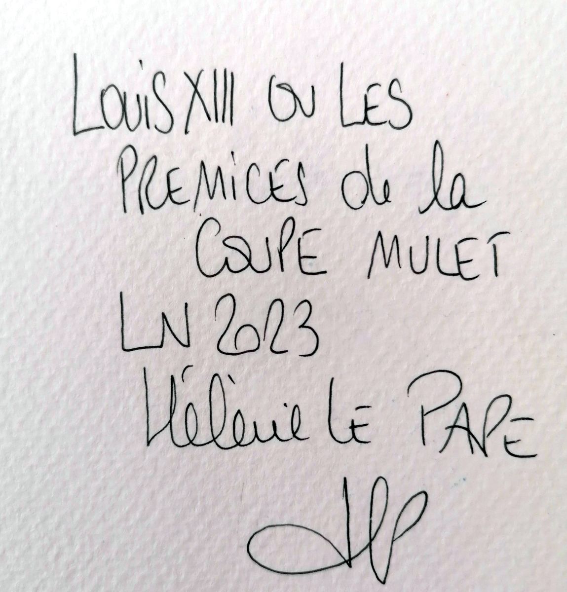 Dessin de LN LE PAPE a pour titre LOUIS XIII OU LES PREMICES DE LA COUPE MULET style street pop art dim : LN LE PAPEprix:50