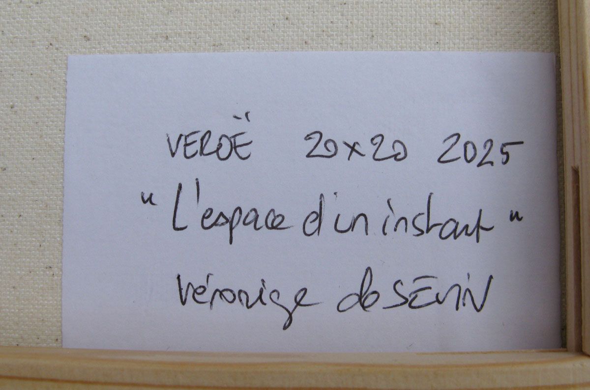 Tableau de VEROE a pour titre Espace d'un instant style figuratif dim : VEROEprix:90