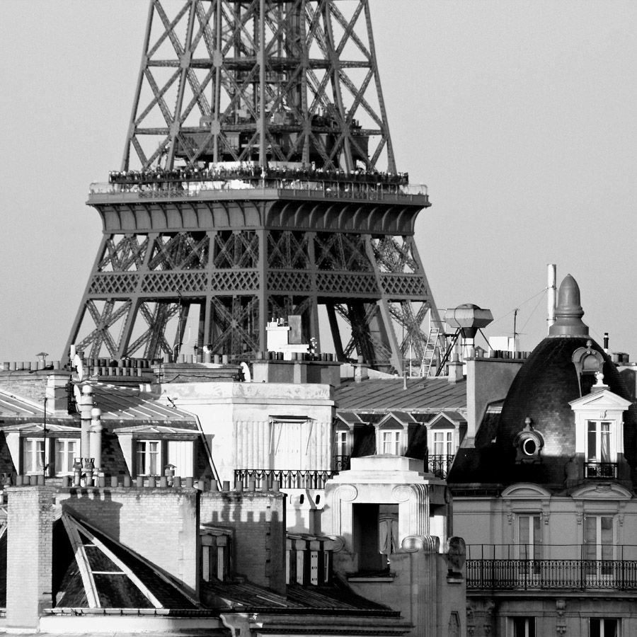 Photo de SERGE DRAI a pour titre CHAMPIGNON DE PARIS style figuratif dim : SERGE DRAIprix:60