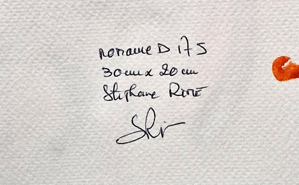 Dessin de STEPHANE RIME a pour titre noname D175 style abstrait dim : STEPHANE RIMEprix:55