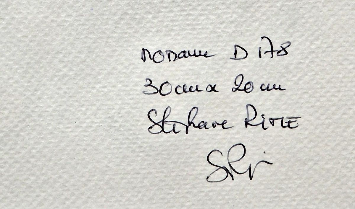 Dessin de STEPHANE RIME a pour titre noname D178 style abstrait dim : STEPHANE RIMEprix:55