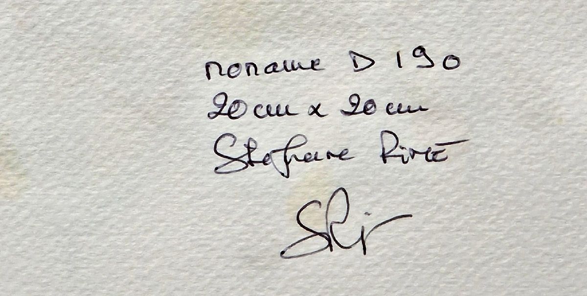 Dessin de STEPHANE RIME a pour titre noname D190 style abstrait dim : STEPHANE RIMEprix:50