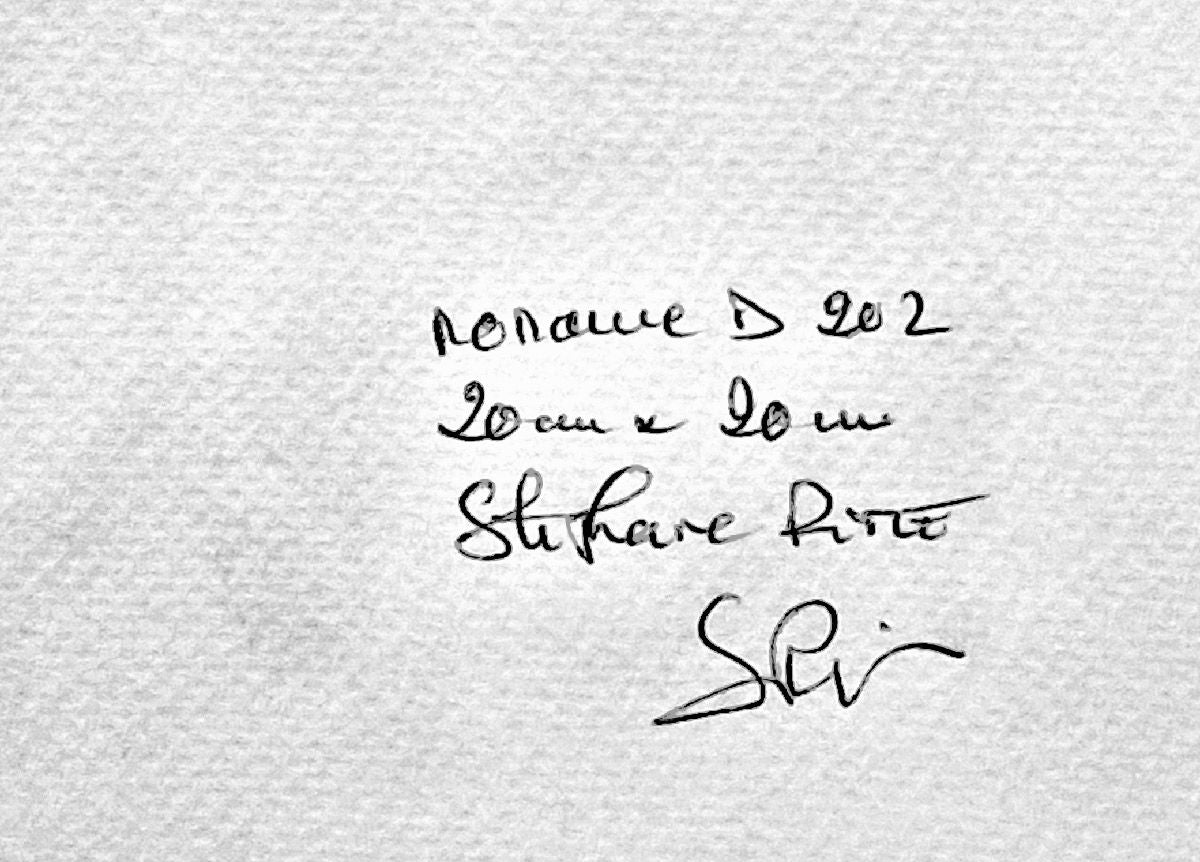 Dessin de STEPHANE RIME a pour titre noname D202 style abstrait dim : STEPHANE RIMEprix:50