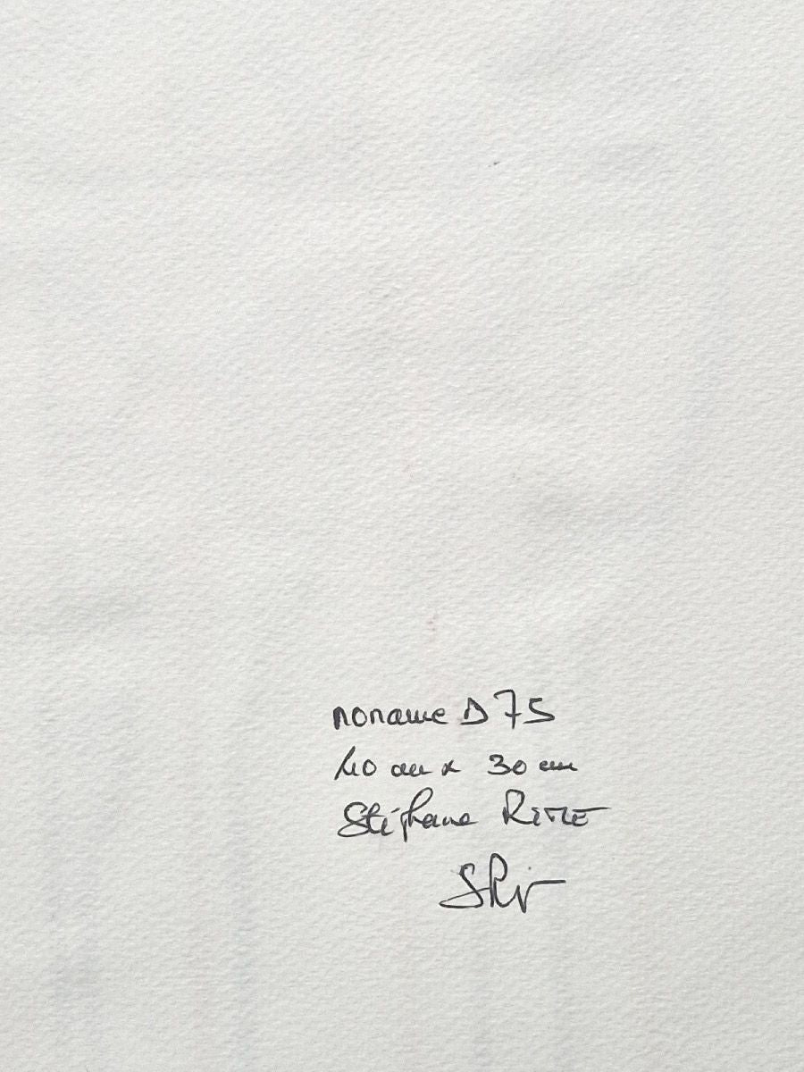 Dessin de STEPHANE RIME a pour titre noname D75 style abstrait dim : STEPHANE RIMEprix:70