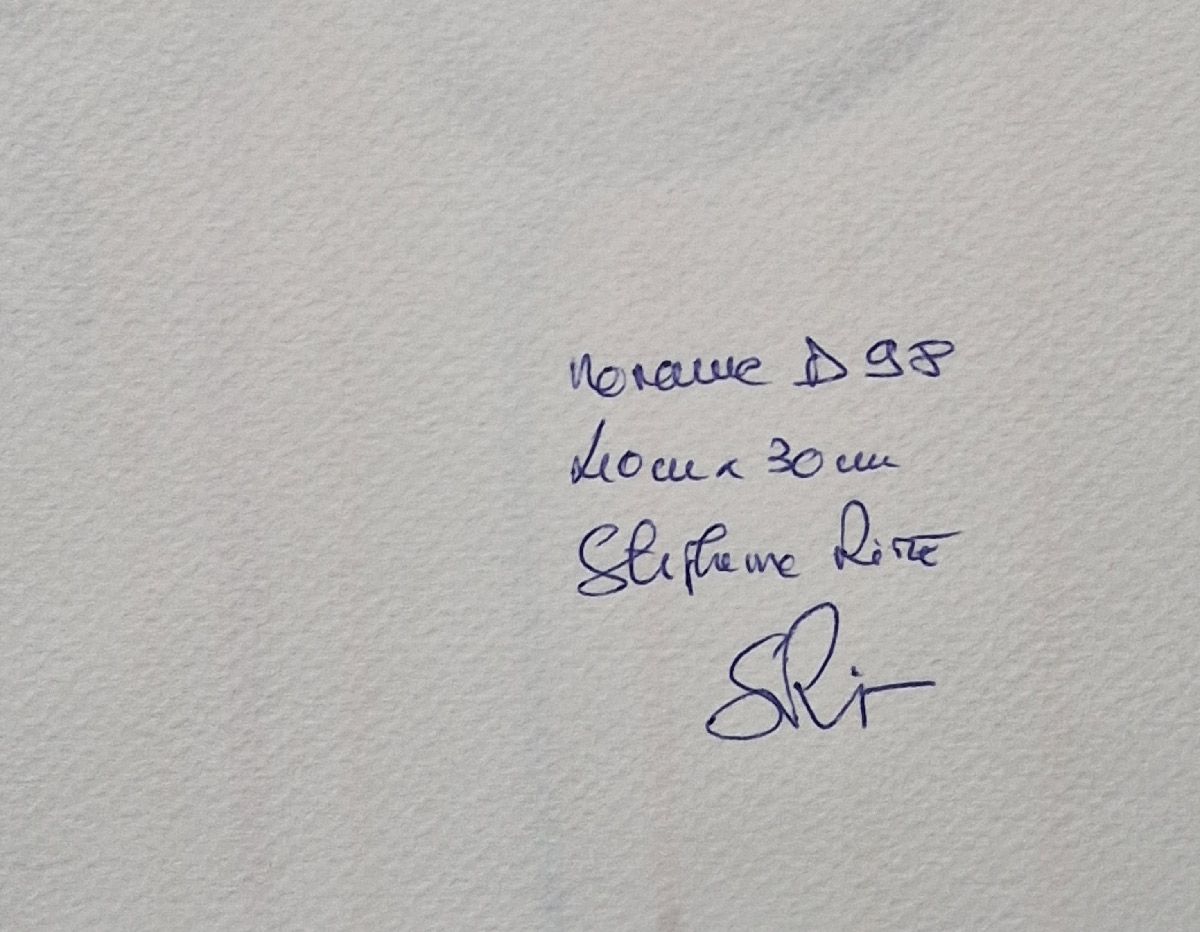 Dessin de STEPHANE RIME a pour titre noname D98 style abstrait dim : STEPHANE RIMEprix:70