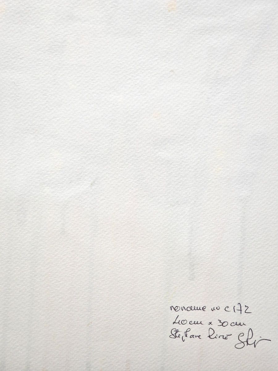 Dessin de STEPHANE RIME a pour titre noname N° C172 style abstrait dim : STEPHANE RIMEprix:70