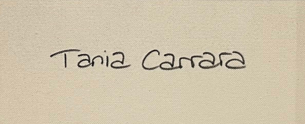 Tableau de TANIA CARRARA a pour titre Nuances d'aube style abstrait dim : TANIA CARRARAprix:950