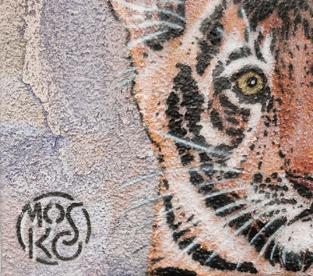 Tableau de MOSKO a pour titre Bébé tigre style street art dim : MOSKOprix:420
