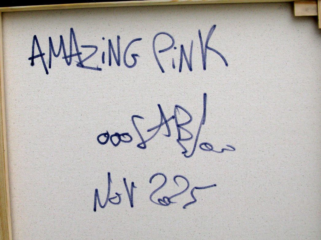 Tableau de RICO SAB a pour titre Amazing Punk style street pop art, street art dim : RICO SABprix:950