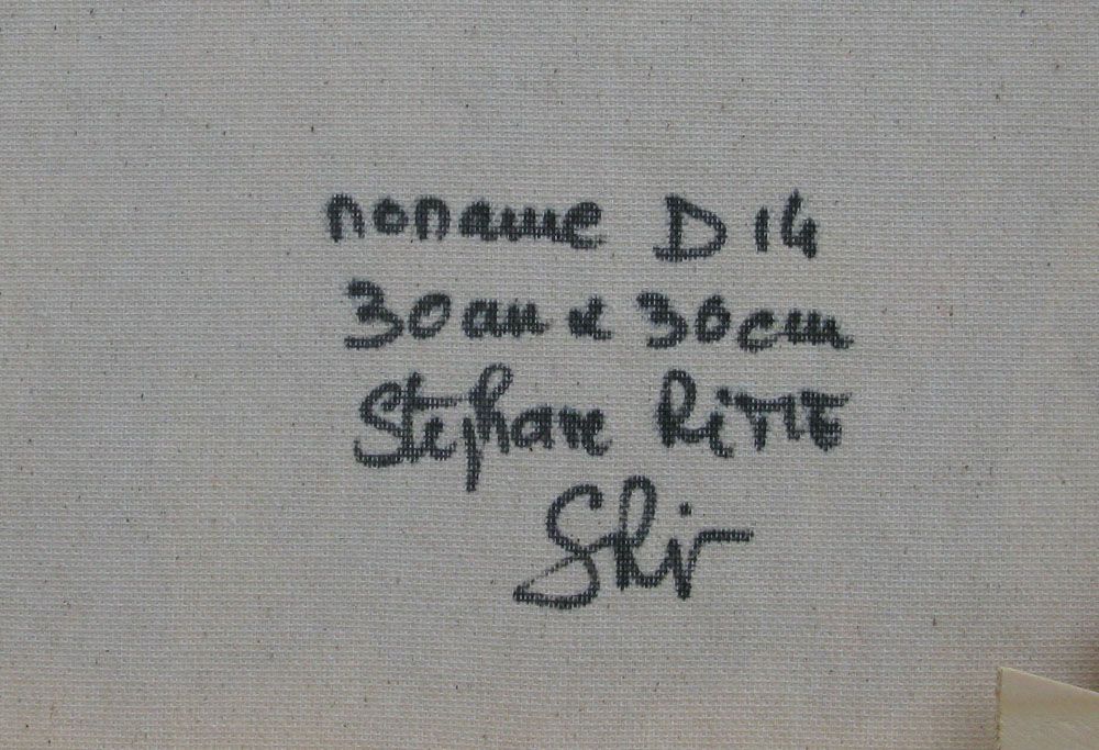 Tableau de STEPHANE RIME a pour titre NO NAME D14 style abstrait dim : STEPHANE RIMEprix:160