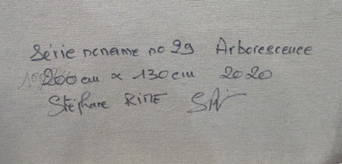 Tableau de STEPHANE RIME a pour titre NONAME CENTRE N°29 style abstrait dim : STEPHANE RIMEprix:1850