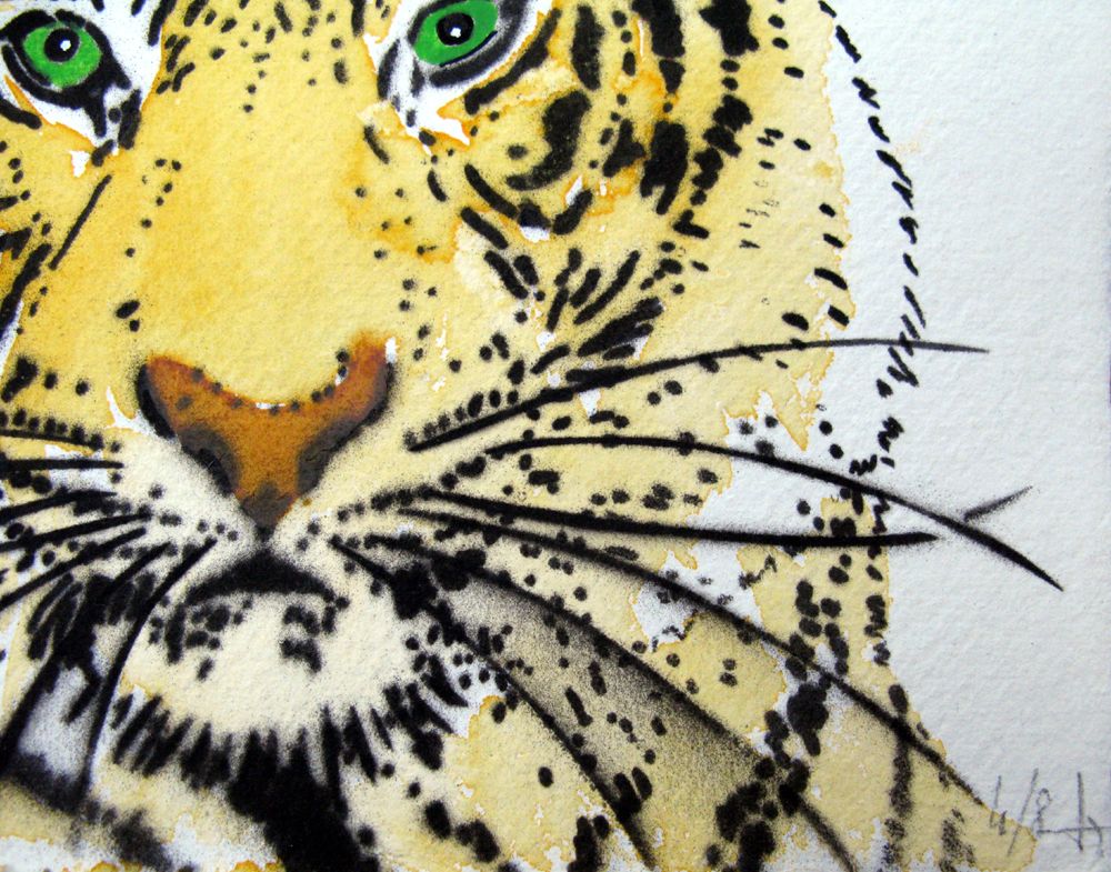Dessin de MOSKO a pour titre TIGRE FACE style figuratif dim : MOSKOprix:220