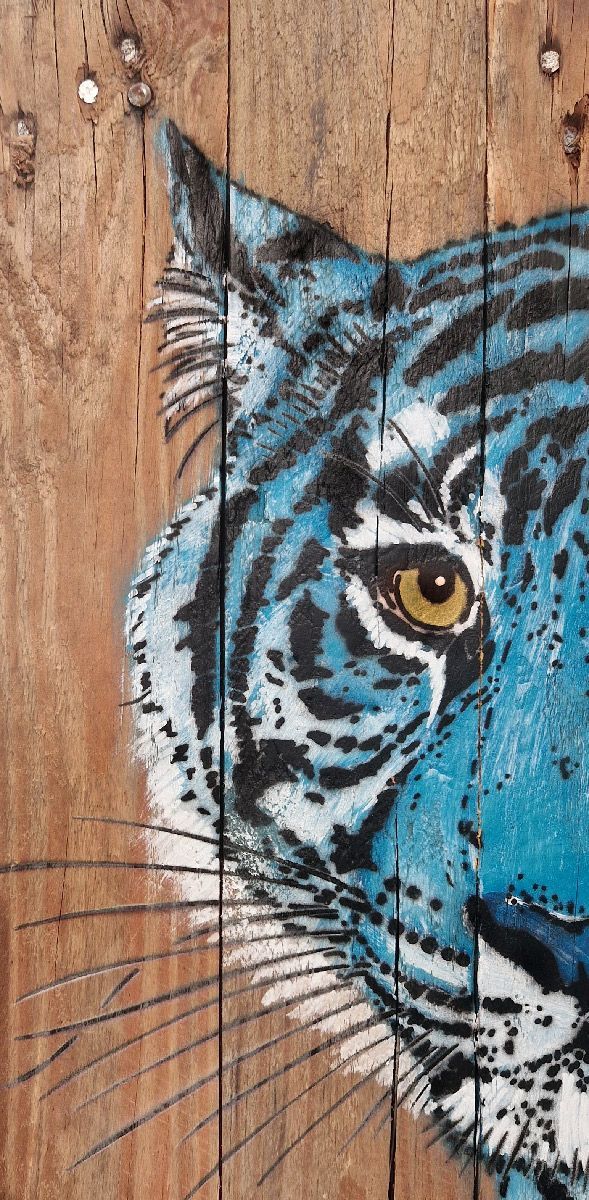 Tableau de MOSKO a pour titre Buste tigre bleu style street art dim : MOSKOprix:850