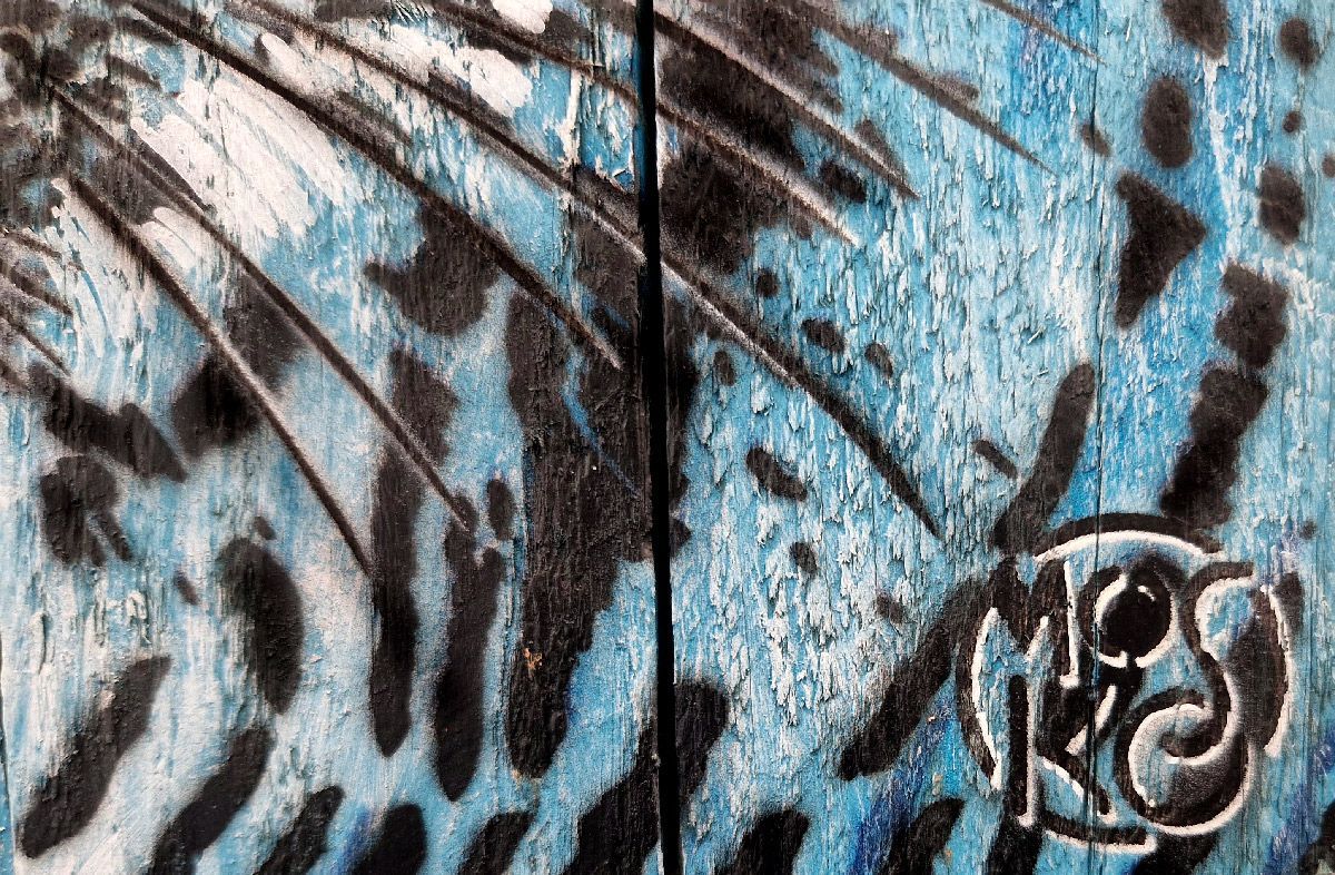 Tableau de MOSKO a pour titre Buste tigre bleu style street art dim : MOSKOprix:850