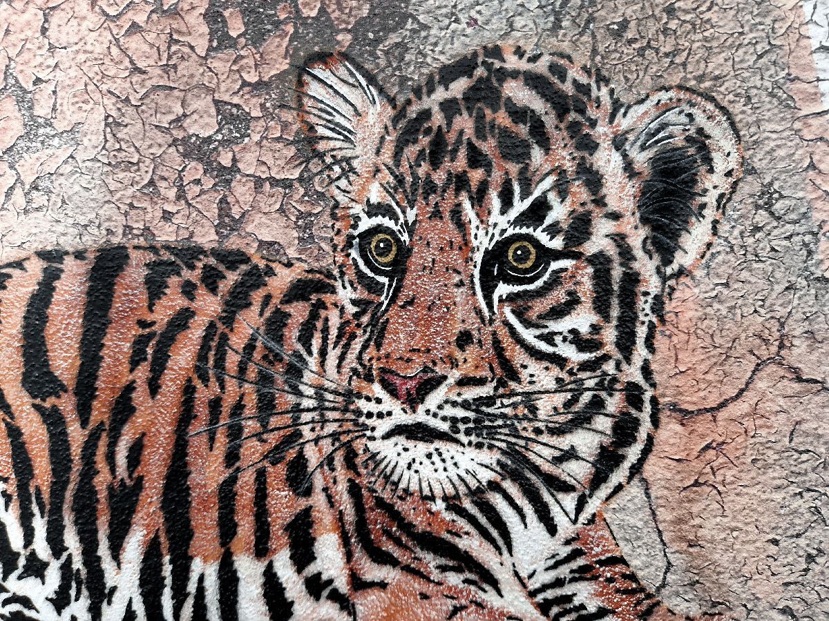 Tableau de MOSKO a pour titre Bébé tigre style street art dim : MOSKOprix:1500