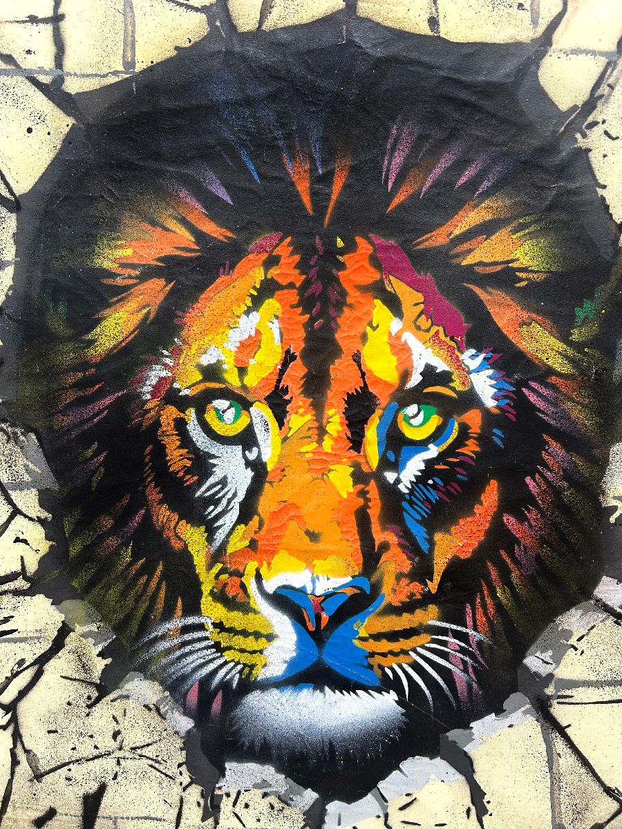 Tableau de EMER a pour titre La cour style graffiti, street art dim : EMERprix:1700