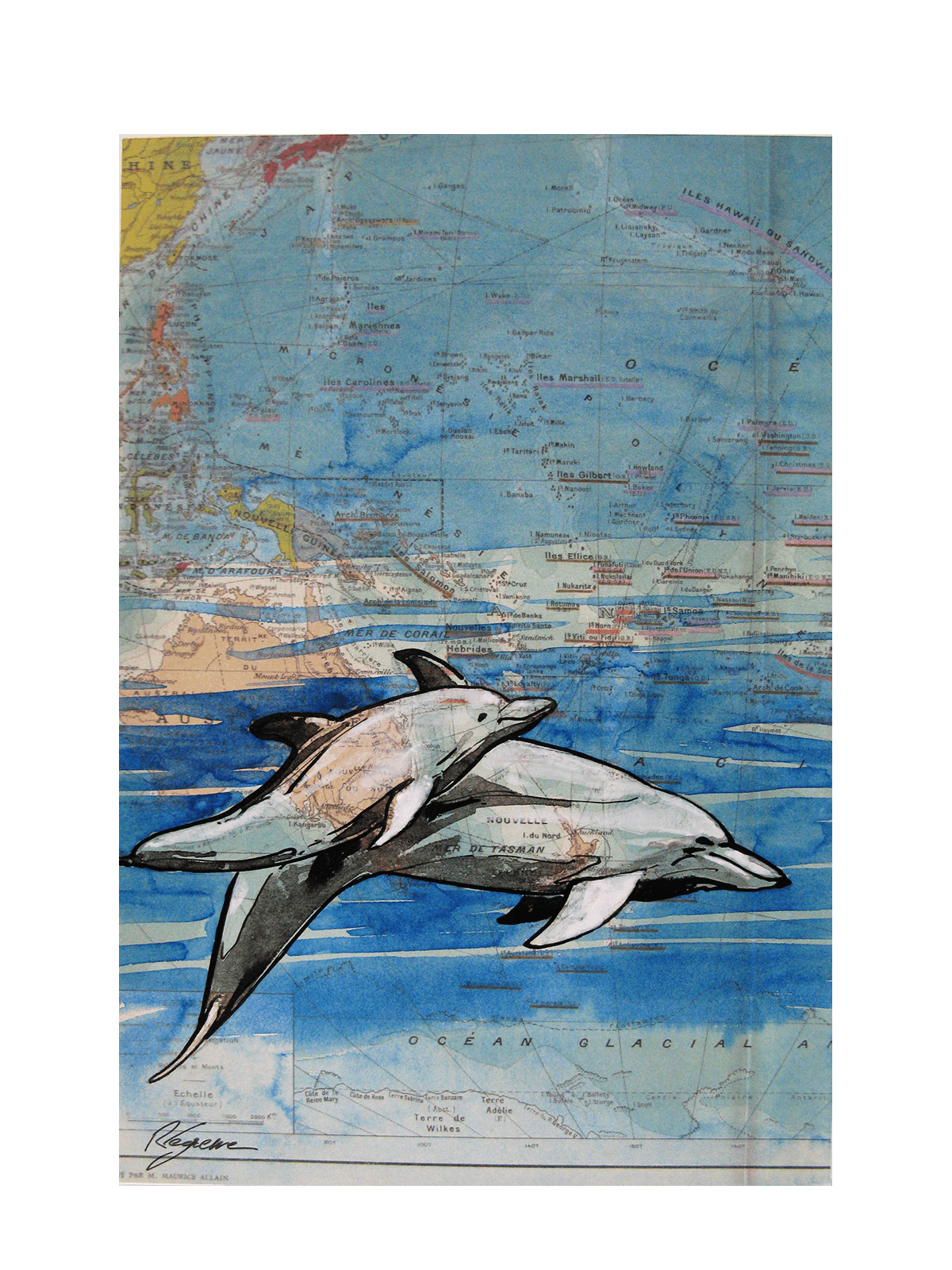 Dessin de CYRIL REGUERRE a pour titre DAUPHINS style figuratif dim : CYRIL REGUERREprix:90