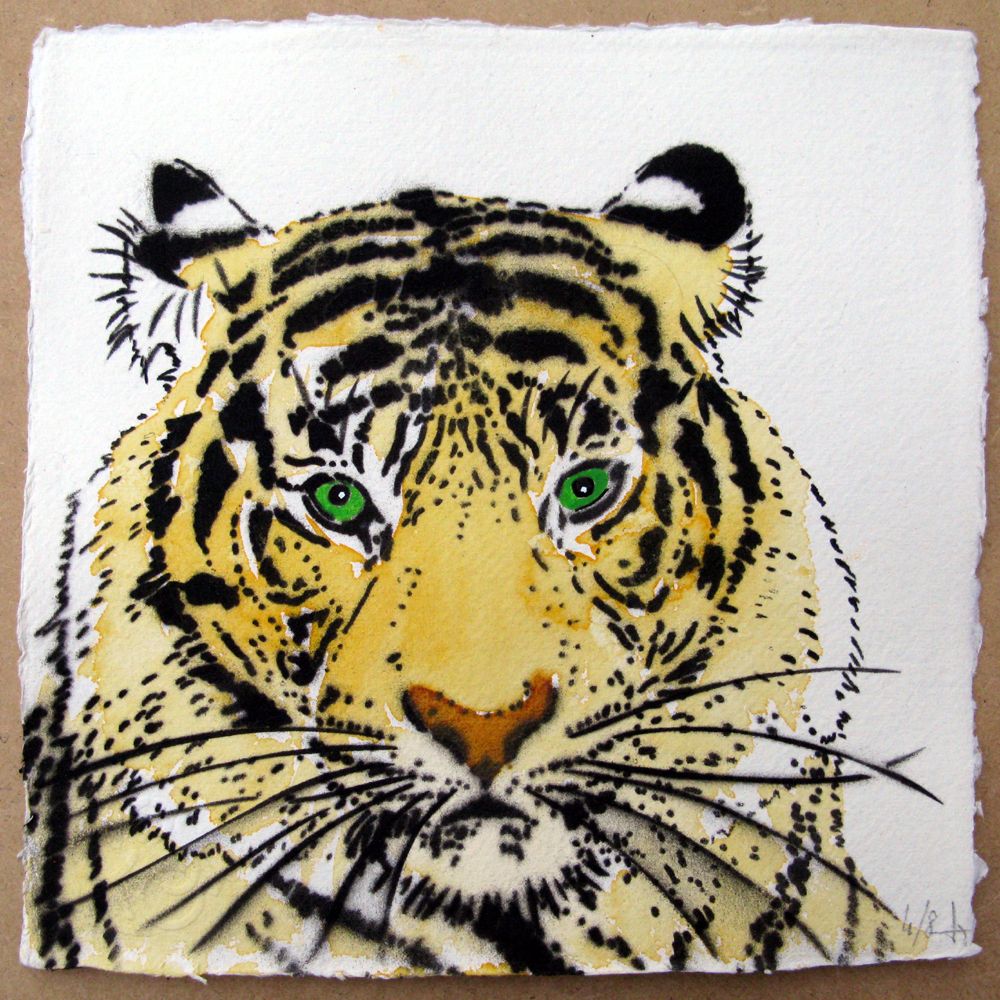 Dessin figuratif petit format TIGRE FACE – MOSKO – 20 × 20 cm