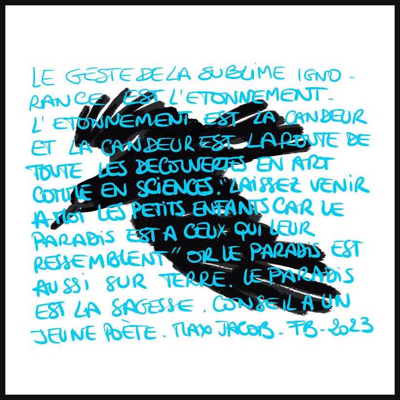 Estampe figuratif petit format L'aigle – FREDERIQUE BERTIN – 20 × 20 cm
