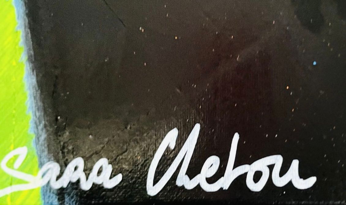 Tableau de SARA CHELOU a pour titre Free Iran style street pop art dim : SARA CHELOUprix:890