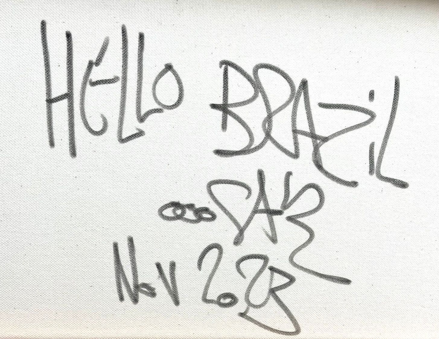 Tableau de RICO SAB a pour titre Hello Brazil style street pop art, street art dim : RICO SABprix:290