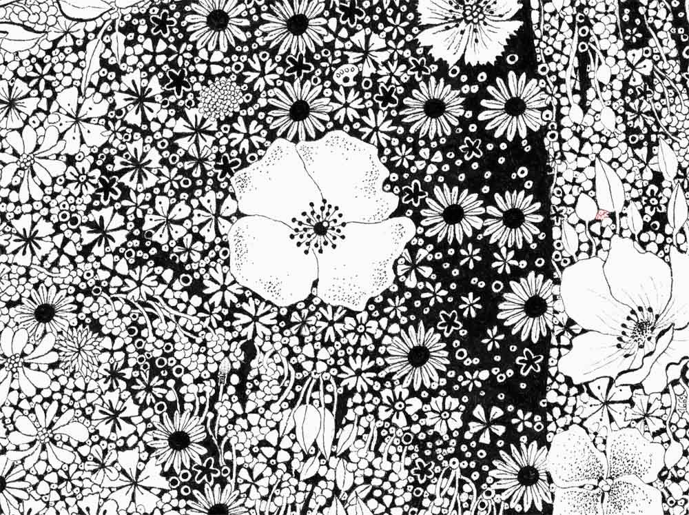 Editions d'art de CAMILLE POLI a pour titre JEUNE FILLE AUX FLEURS style figuratif, graphique dim : CAMILLE POLIprix:90